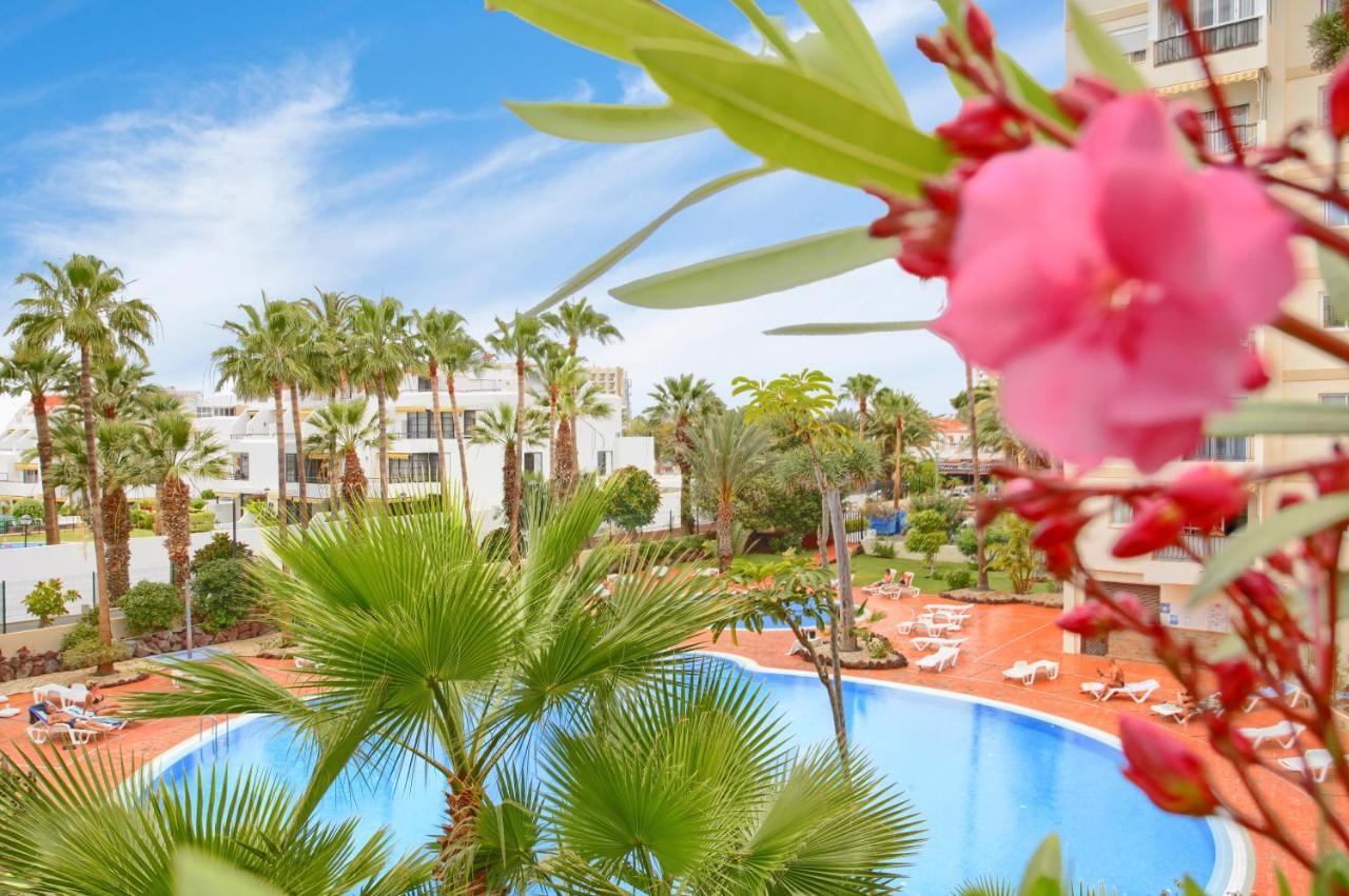 Studio Eldorado In Playa De Las Americas Near The Beach Арона Екстериор снимка